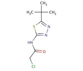 N-(5-tert-Butyl-[1,3,4]thiadiazol-2-yl)-2-chloro-acetamide - chemical structure image