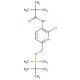 N-(6-((tert-Butyldimethylsilyloxy)methyl)-2-chloropyridin-3-yl)pivalamide (CAS 1142191-94-3) - chemical structure image