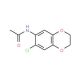 N-(7-Chloro-2,3-dihydro-1,4-benzodioxin-6-yl)-acetamide - chemical structure image