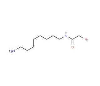 N-(8-Aminooctyl)-2-bromoacetamide - chemical structure image