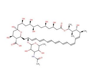 N-Acetyl Amphotericin B (CAS 902457-23-2) - chemical structure image