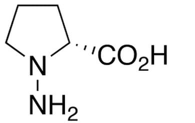 N-Amino-D-proline | CAS 10139-05-6 | SCBT - Santa Cruz Biotechnology