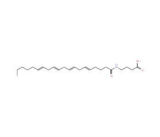 N-Arachidonoyl-GABA (NA-GABA) (CAS 128201-89-8) - chemical structure image