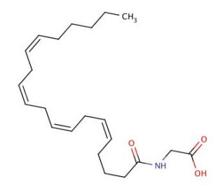 N-Arachidonoyl glycine (CAS 179113-91-8) - chemical structure image