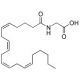 N-Arachidonoyl glycine (solution in ethanol) (CAS 179113-91-8) - chemical structure image