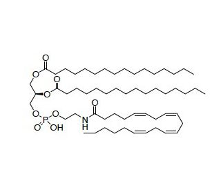 N-Arachidonoyl phosphatidylethanolamine - chemical structure image