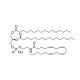 N-Arachidonoyl phosphatidylethanolamine - chemical structure image