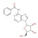 N-Benzoyladenosine (CAS 4546-55-8) - chemical structure image