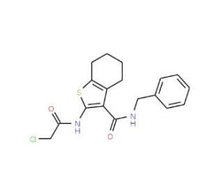 N-benzyl-2-[(chloroacetyl)amino]-4,5,6,7-tetrahydro-1-benzothiophene-3-carboxamide - chemical structure image