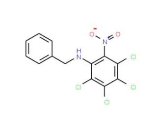 N-Benzyl-6-nitro-2,3,4,5-tetrachloroaniline (CAS 69035-11-6) - chemical structure image