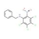 N-Benzyl-6-nitro-2,3,4,5-tetrachloroaniline (CAS 69035-11-6) - chemical structure image