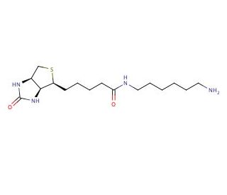 N-Biotinyl-1,6-hexanediamine - chemical structure image