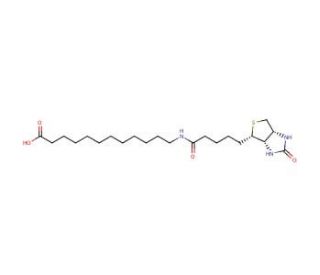 N-Biotinyl-12-aminododecanoic Acid (CAS 135447-73-3) - chemical structure image