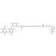 N-Biotinyl-12-aminododecanoyltobramycin Amide (CAS 419573-20-9) - chemical structure image