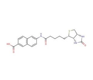 N-Biotinyl-6-amino-2-naphthoic Acid - chemical structure image