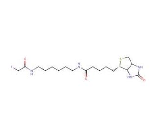 N-Biotinyl-N&prime;-(iodoacetyl)-1,6-hexanediamine (CAS 93285-75-7) - chemical structure image