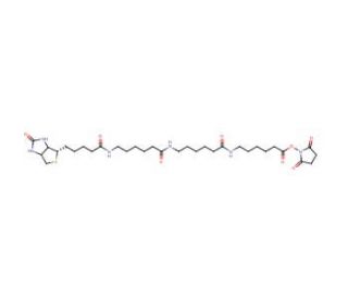 N-Biotinylcaproylaminocaproylaminocaproyl N-Hydroxysuccinimide - chemical structure image