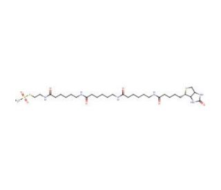 N-Biotinylcaproylaminocaproylaminocaproylaminoethyl Methanethiosulfonate - chemical structure image