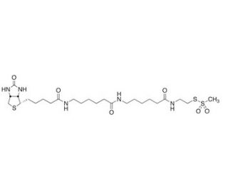 N-Biotinylcaproylaminocaproylaminoethyl Methanethiosulfonate (CAS 1038749-81-3) - chemical structure image