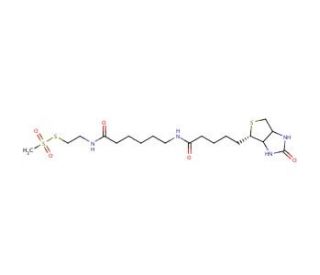 N-Biotinylcaproylaminoethyl Methanethiosulfonate (CAS 353754-95-7) - chemical structure image
