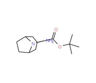 N-Boc-3-amino-8-azabicyclo[3.2.1]octane (CAS 207405-68-3) - chemical structure image