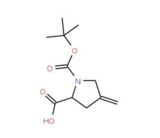 N-Boc-4-methylene-L-proline (CAS 84348-38-9) - chemical structure image