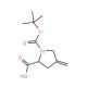 N-Boc-4-methylene-L-proline (CAS 84348-38-9) - chemical structure image
