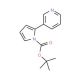 N-Boc-b-nornicotryine (CAS 215187-35-2) - chemical structure image