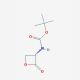 N-Boc L-Serine β-Lactone (CAS 98541-64-1) - chemical structure image