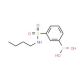 N-Butyl 3-boronobenzenesulfonamide (CAS 871329-78-1) - chemical structure image