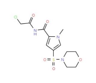 N-(chloroacetyl)-1-methyl-4-(morpholin-4-ylsulfonyl)-1H-pyrrole-2-carboxamide (CAS 1000932-87-5) - chemical structure image