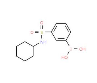N-Cyclohexyl 3-boronobenzenesulfonamide (CAS 871329-79-2) - chemical structure image