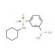 N-Cyclohexyl 3-boronobenzenesulfonamide (CAS 871329-79-2) - chemical structure image