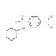 N-Cyclohexyl 4-boronobenzenesulfonamide (CAS 871329-66-7) - chemical structure image