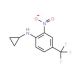N-Cyclopropyl-2-nitro-4-trifluoromethylaniline (CAS 887351-41-9) - chemical structure image