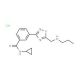 N-Cyclopropyl-3-{5-[(propylamino)methyl]-1,2,4-oxadiazol-3-yl}benzamide hydrochloride (CAS 1185299-52-8) - chemical structure
