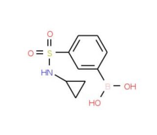 N-Cyclopropyl 3-boronobenzenesulfonamide (CAS 913835-28-6) - chemical structure image