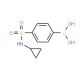 N-Cyclopropyl 4-boronobenzenesulfonamide (CAS 871329-67-8) - chemical structure image