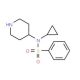 N-Cyclopropyl-N-piperidin-4-ylbenzenesulphonamide (CAS 387350-82-5) - chemical structure image