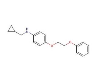 N-(Cyclopropylmethyl)-4-(2-phenoxyethoxy)aniline - chemical structure image