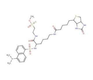 (N-Dansyl)biocytinamidoethyl Methanethiosulfonate - chemical structure image