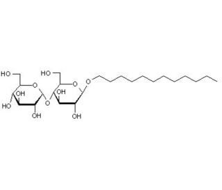 n-Dodecyl-&beta;-D-maltoside (CAS 69227-93-6) - chemical structure image