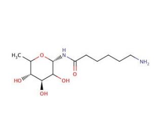 N-(&epsilon;-Aminocaproyl)-&beta;-L-fucopyranosylamine (CAS 35978-97-3) - chemical structure image
