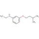 N-Ethyl-3-(isopentyloxy)aniline - chemical structure image