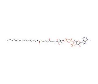 n-Heptadecanoyl coenzyme A lithium salt (CAS 3546-17-6) - chemical structure image