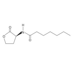 N-heptanoyl-L-Homoserine lactone (CAS 177158-20-2) - chemical structure image