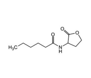 N-Hexanoyl-DL-homoserine lactone - chemical structure image