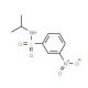 N-Isopropyl 3-nitrobenzenesulfonamide (CAS 28860-10-8) - chemical structure image