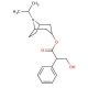 N-Isopropylnoratropine (CAS 22235-81-0) - chemical structure image