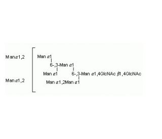 N-Linked Oligosaccharide, Man-8 Glycan - chemical structure image